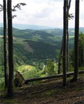 Bystřička