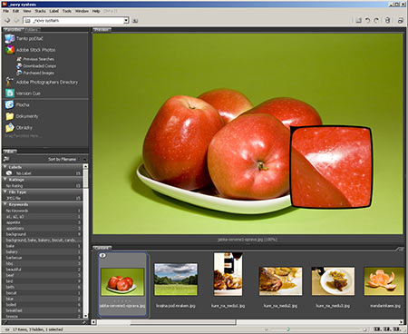 Adobe Bridge a jeho temný moderní vzhled. Vlevo dole filtry, fotky jablek jsou uspořádány do skupiny, v náhledu je vidět i lupa.