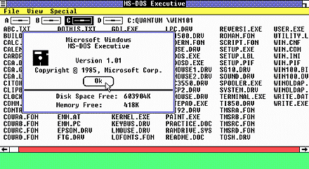 Dvacet let s windows